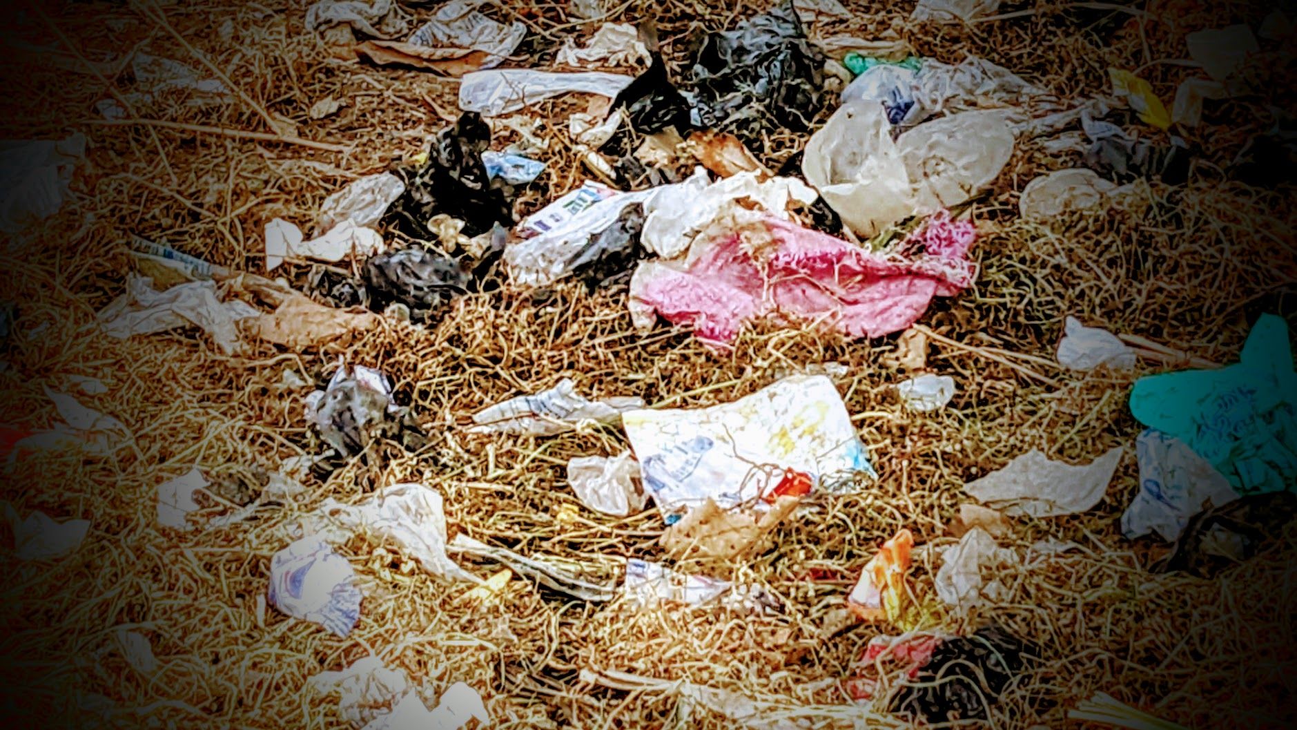 Dreck-weg-Wochen Karlsruhe (14. März 2026)