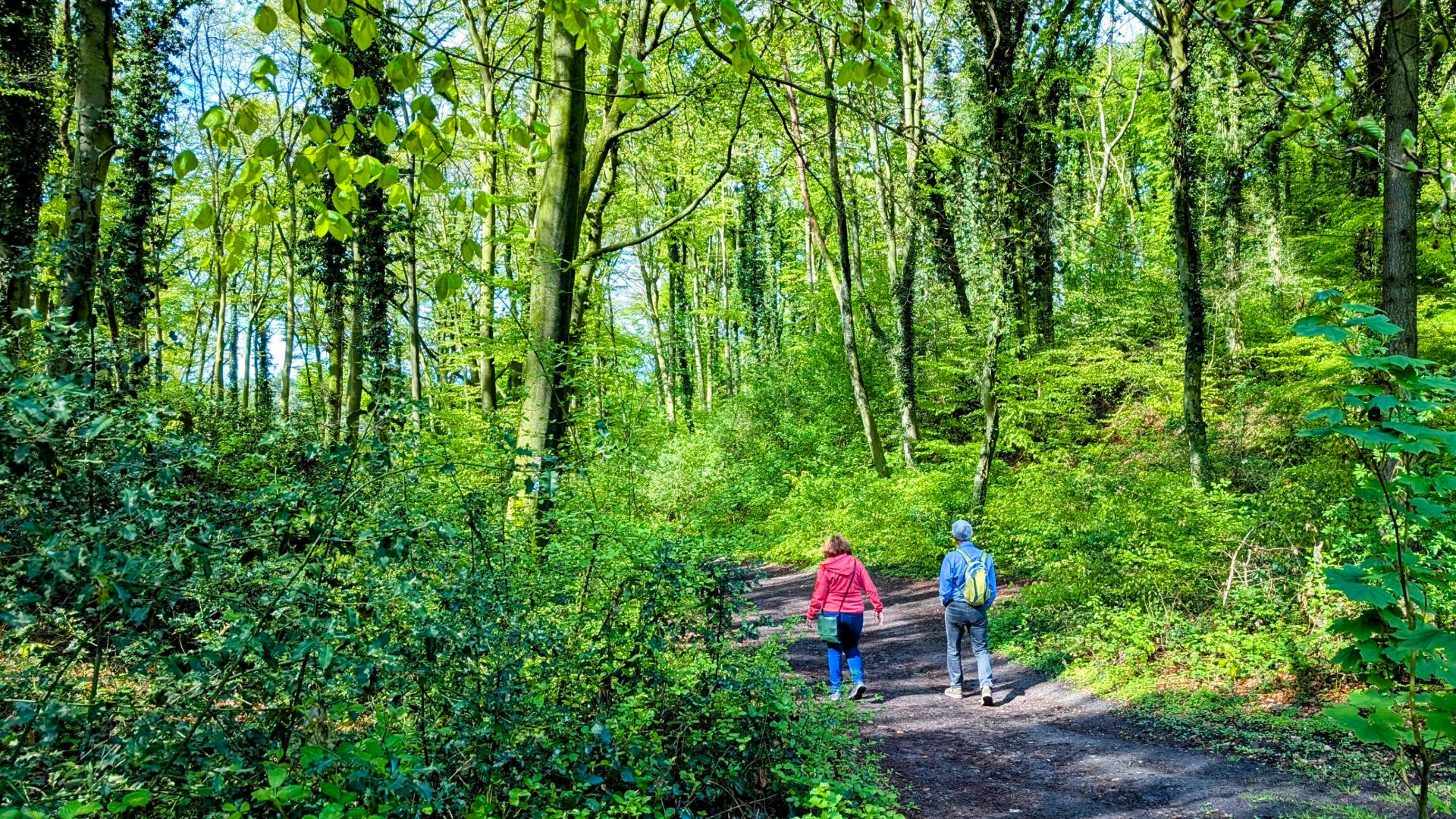 Frühling im Odenwald Wanderung der AG Karlsruher Naturfreunde (Sonntag, 4. Mai 2025)