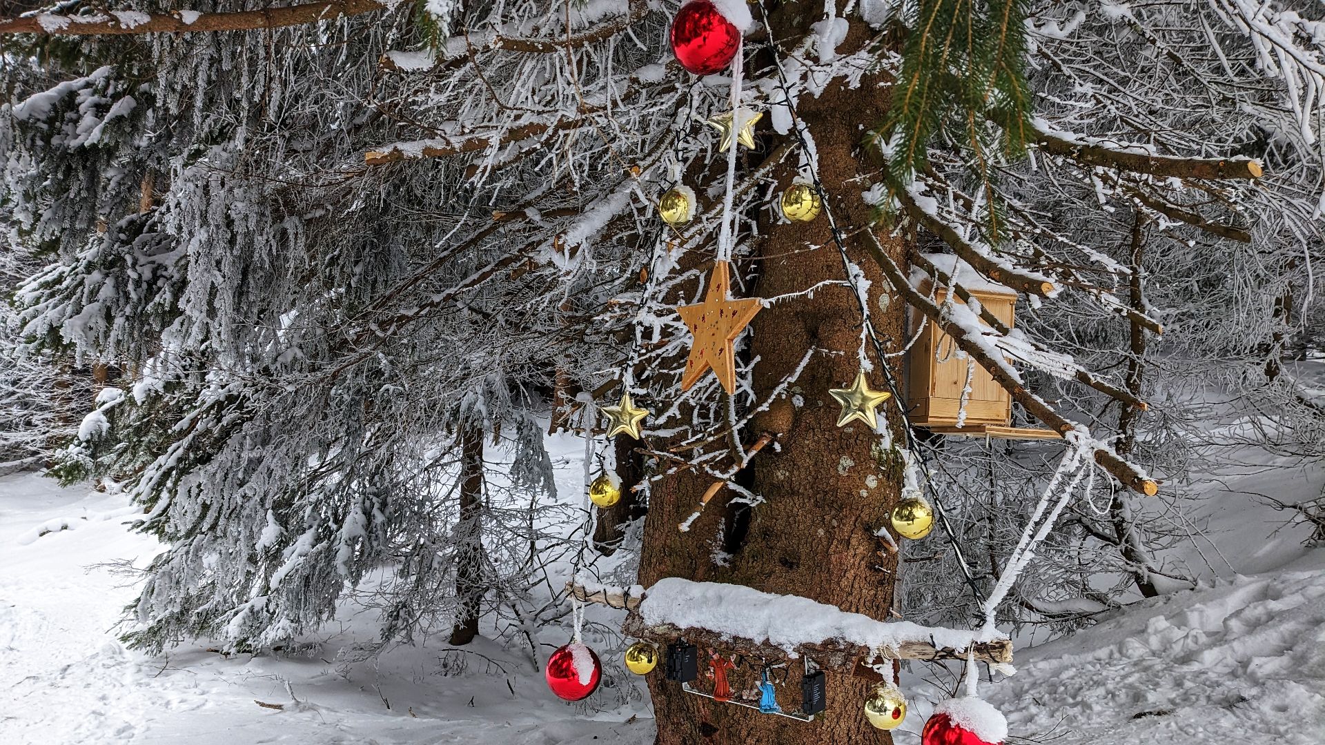 Weihnachtswanderung (26. Dezember 2025)
